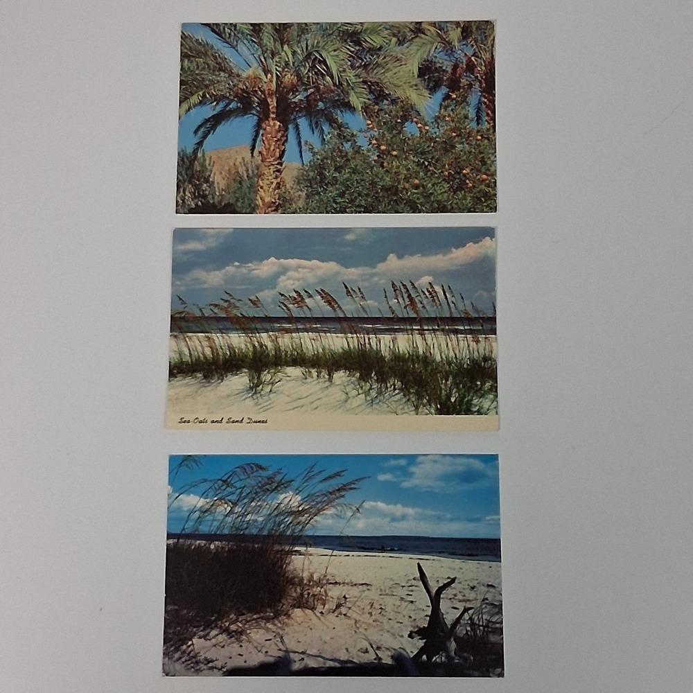 Lot 3 Vintage Chrome Postcards Florida Beach Sea Oats Dunes + Arizona Palms MCM